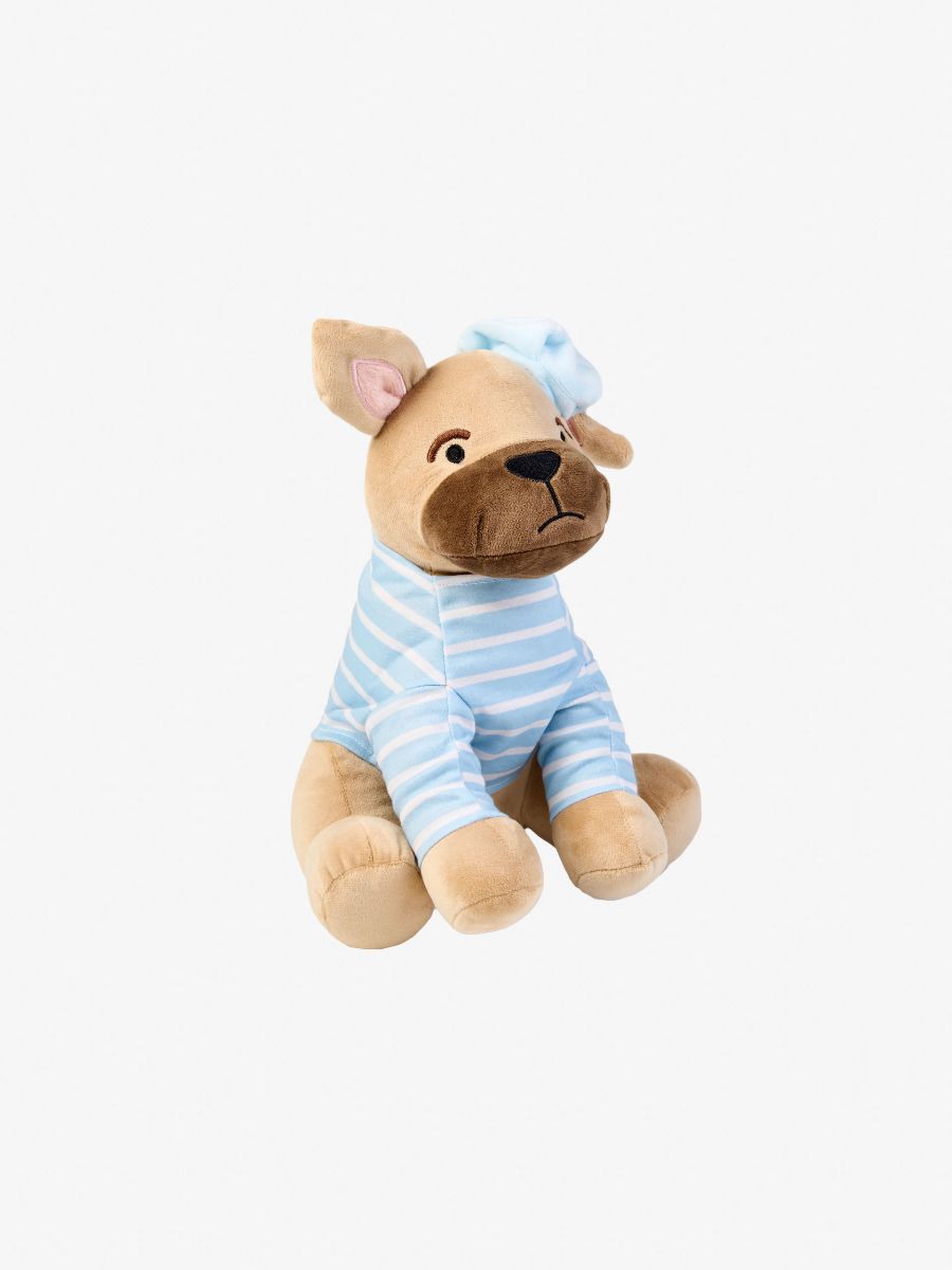 Felix the Frenchie Novelty Cushion