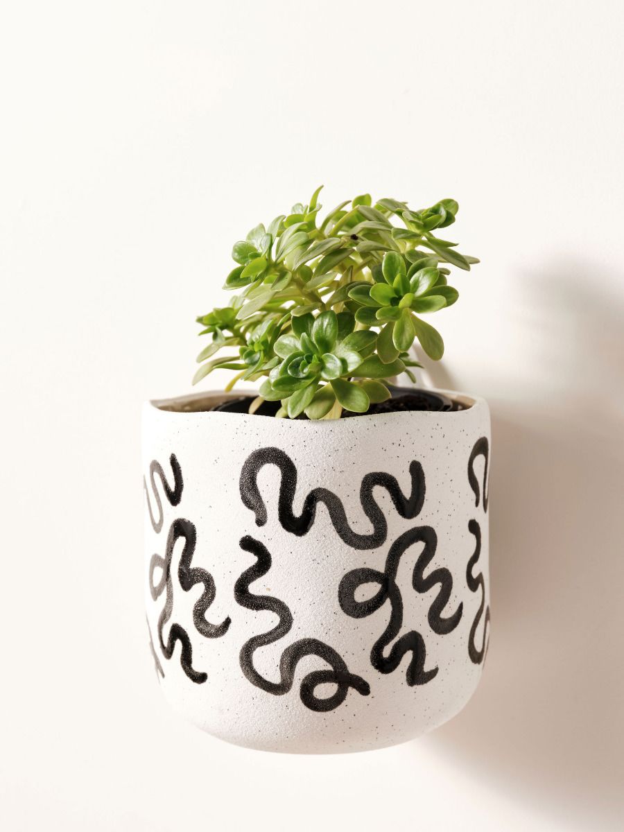 Paterna Black Squiggle Planter Pot 15cm