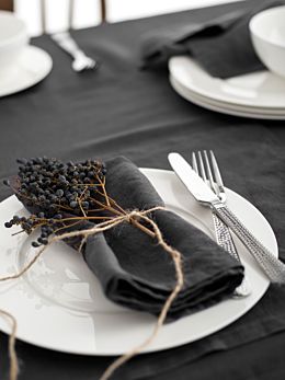 Nimes Magnet Linen 4-Piece Napkin Set